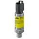 Type 0530 SUCO Electronic pressure switch, hex 22 with one switching output