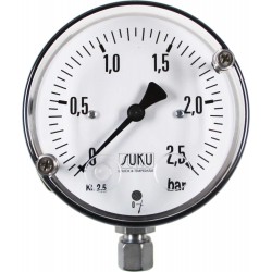 Type 5590, Differential pressure gauge NS100 with diaphragm seal
